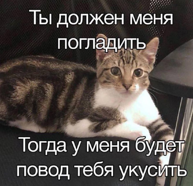 Утренняя подборочка