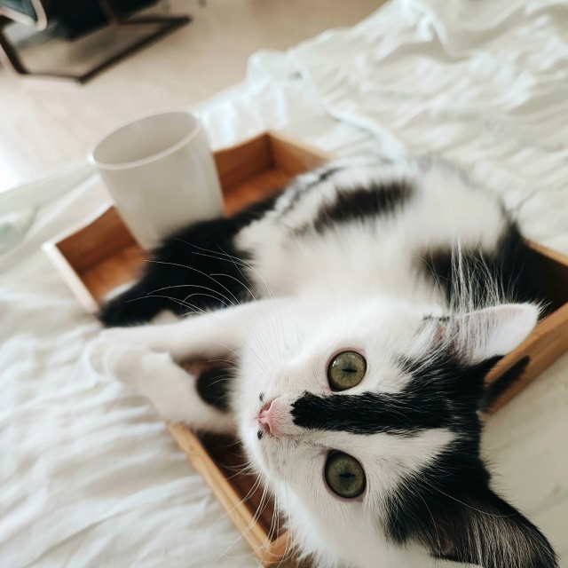 Сладкая булочка к чаю