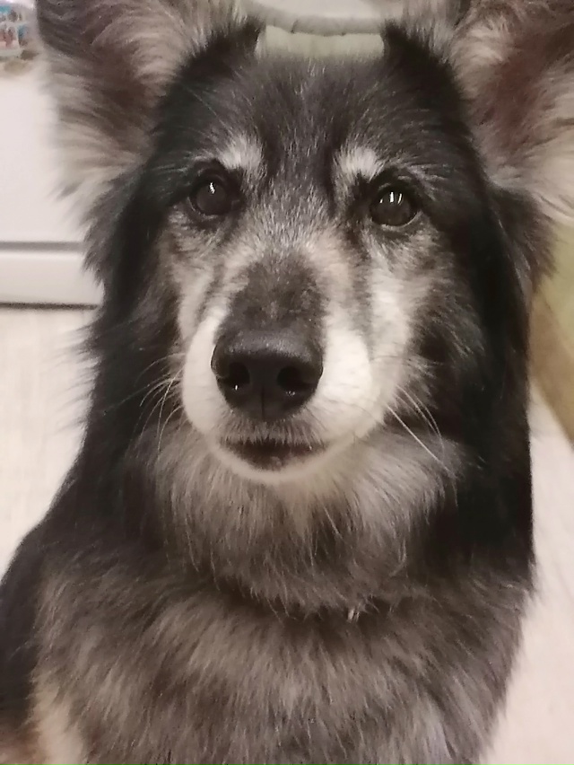 ПОСЁЛОК ВЕРХ НЕЙВИНСК, СНТ5
13 ИЮЛЯ ДНЁМ С ПРИВЯЗИ СБЕЖА?...