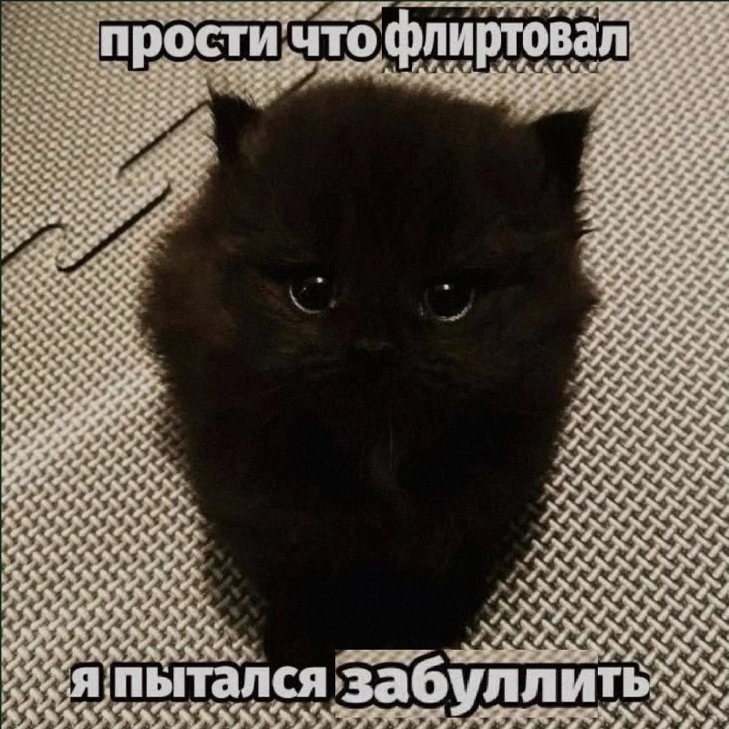 Ночная подборочка
Спать, режим