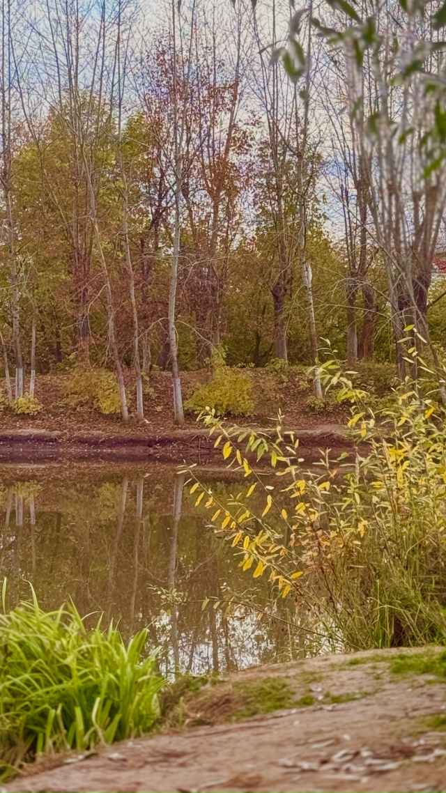 ?И с каждой осенью я расцветаю вновь;
Здоровью моему п...