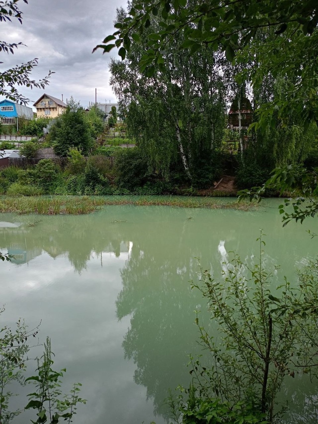 Вчера, 17.07.2025 в воду залива, впадающего выше Камской ГЭС...
