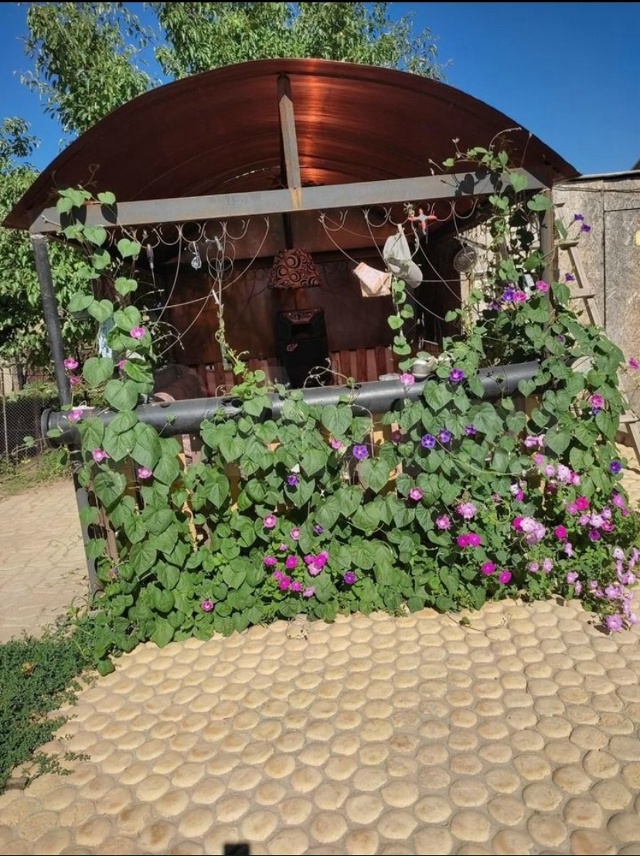 БЕЗ ДОЛГОВ !
 БЕЗ ОБРЕМЕНЕНИЙ !
 БЕЗ ДЕТСКИХ ДОЛЕЙ!
ЛЮБ?...