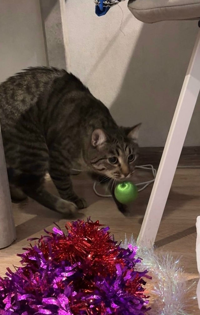 Наша ЛЮБОВЬ ЛЮБОВНАЯ🥰😻😽