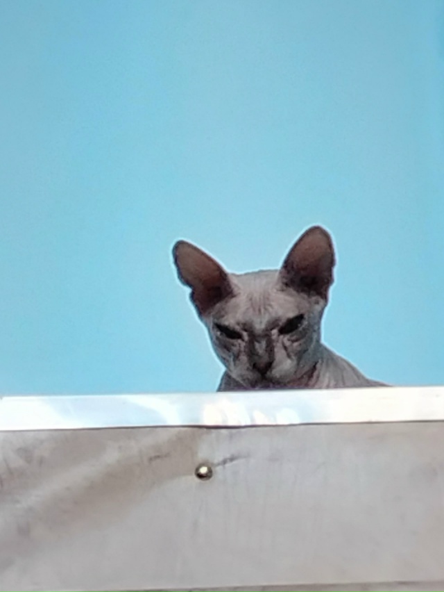 Буся, а по паспорту Буссилия Маргарита Первая, прекрас?...