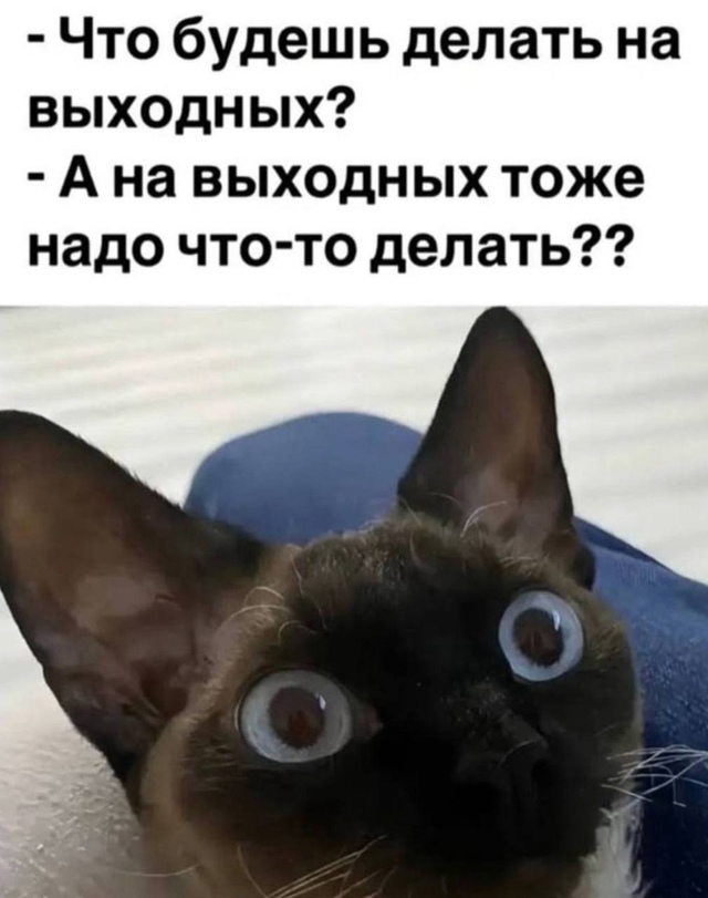 Какие планы?