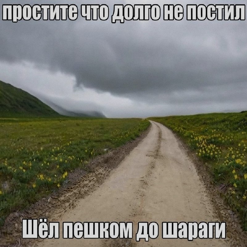Ночная подборочка
Спать, режим