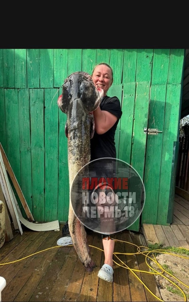 Вот это улов😱
Огромного сома поймала на Каме наша зем...