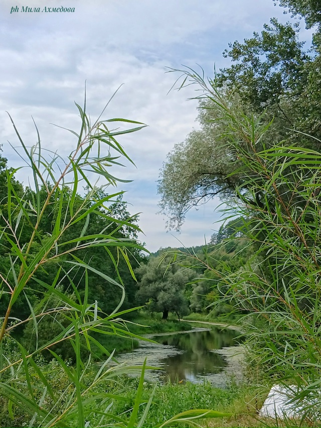 Оз. Шертово. Мастрюки. Самарская обл. 🏞