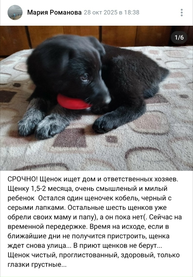 Пост добра. Распространите, пожалуйста.