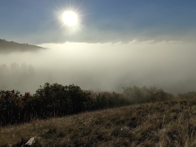 Фото от подписчика.
?Хочешь чтобы твоё фото было тут?...