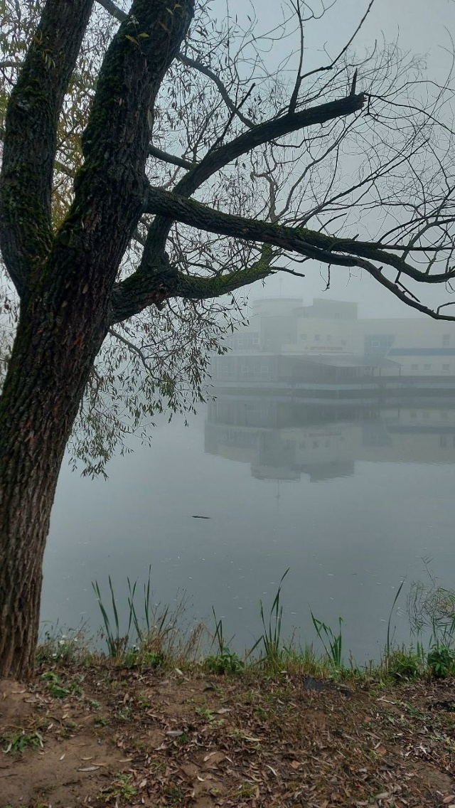 Брагино в тумане. Листайте.