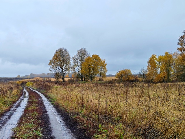 В полях разливается осень
В коричнево-жёлтых тонах,
И с...