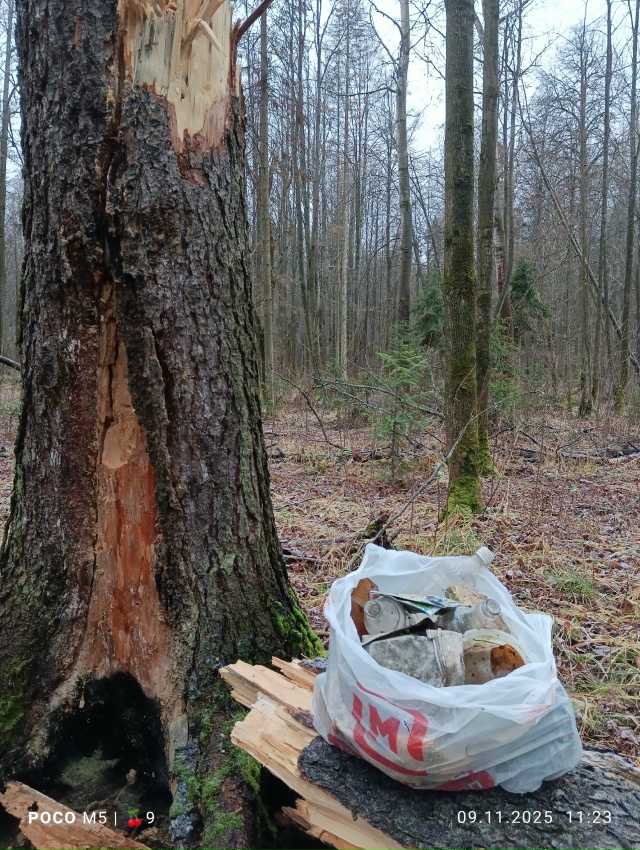 Прибрался у истока Егошихи и на экотропе 