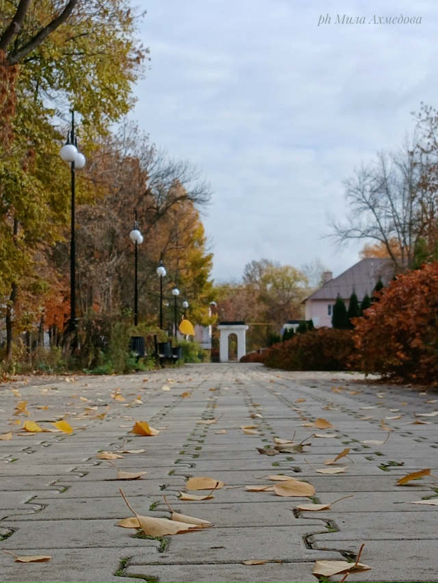 Больничный осенний октябрьский парк.
Отражение дер...