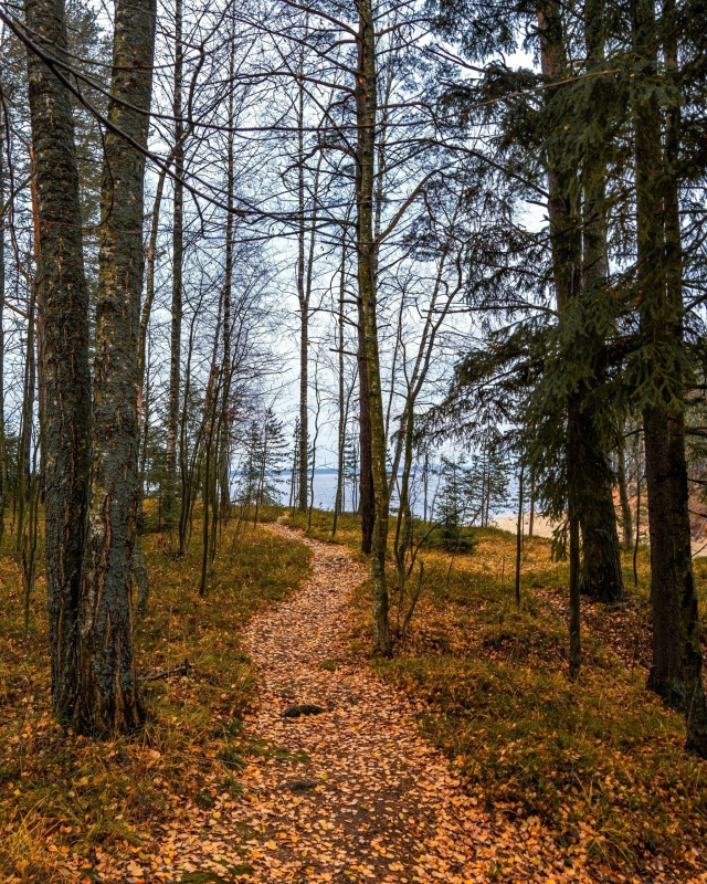 Красота осенней природы ❤ Рыбинский район, Селехово ?...