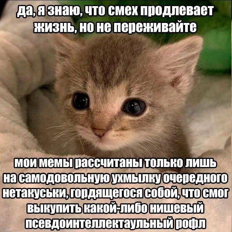 Утренняя подборочка