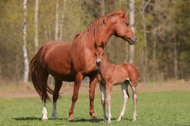 Дорогие друзья!
Приглашаем Вас окунуться в волшебну?...