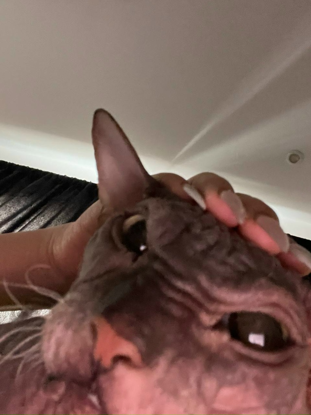 Всрато-подборка Арчибальда Коксовича