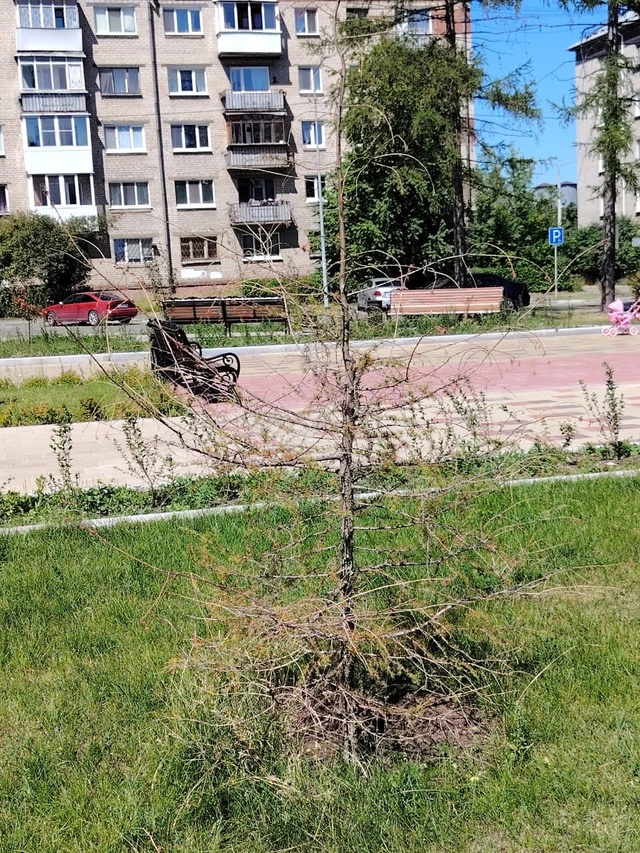 Говорят, хорошо там, где нас нет. И это действительно та...