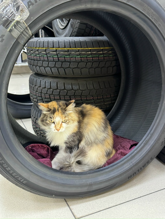 Лучший сотрудник в магазине?