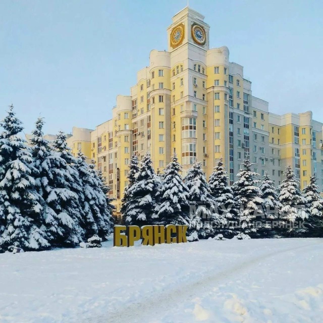 ‼️ Новогодняя ночь должна быть снежной и морозной в Р?...