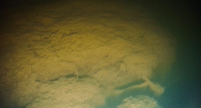 Таинственное озеро Выксунского округа.
озера Малое Св?...