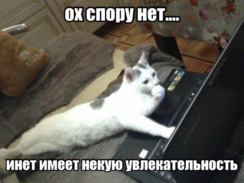 Я в 13, когда впервые наткнулась на порнуху