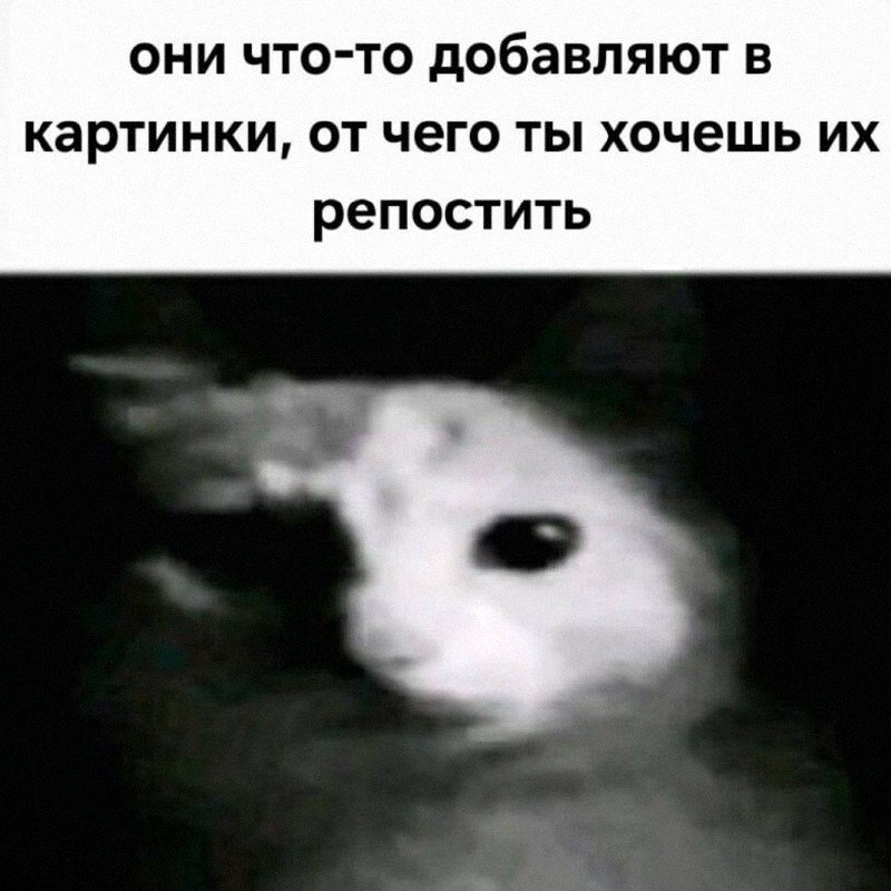 Утренняя подборочка
