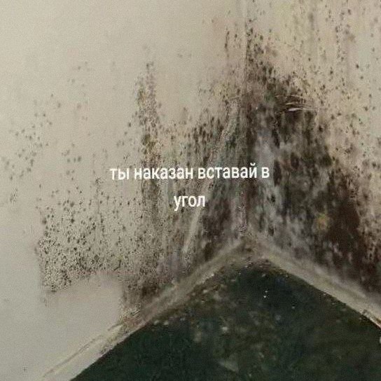 Утренняя подборочка