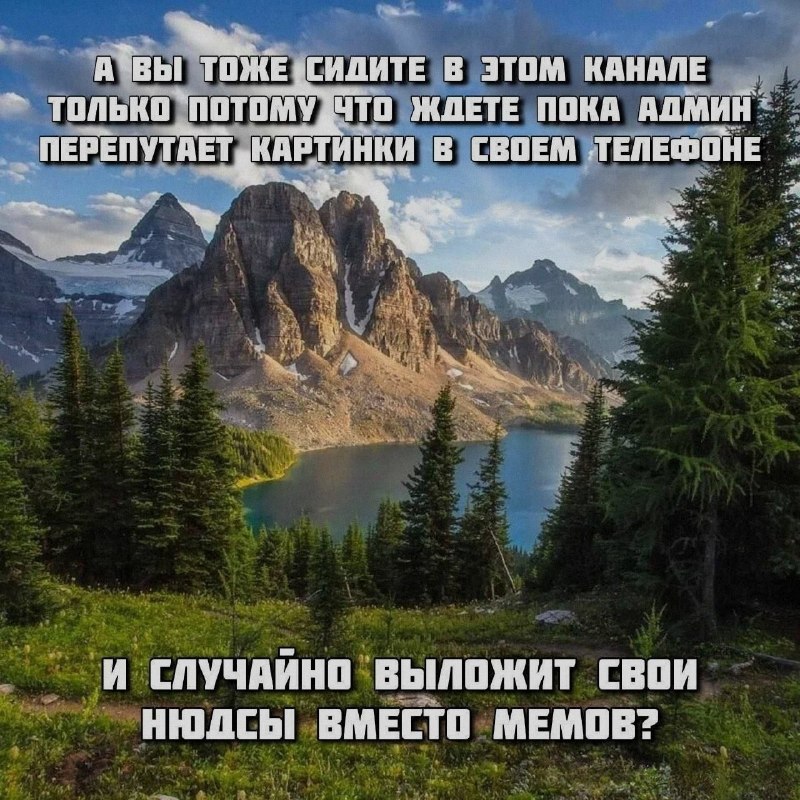 Ночная подборочка
Спать, режим