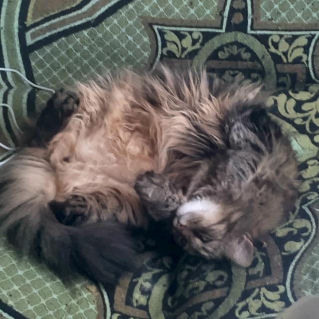 Я стесняюсь