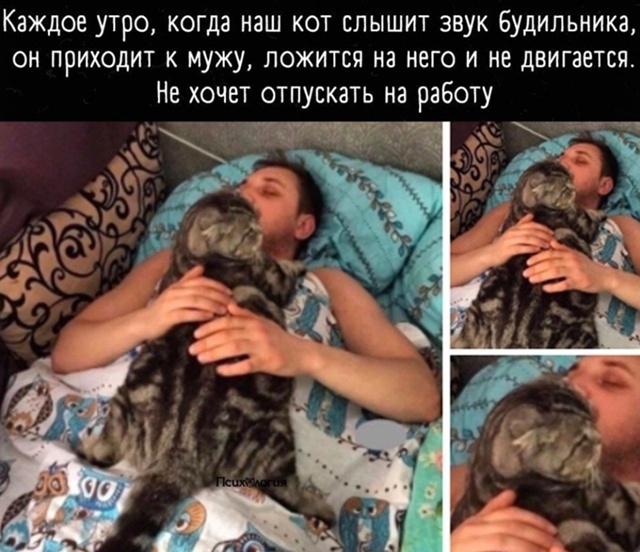 Ну такие объятия игнорировать нельзя 😂
