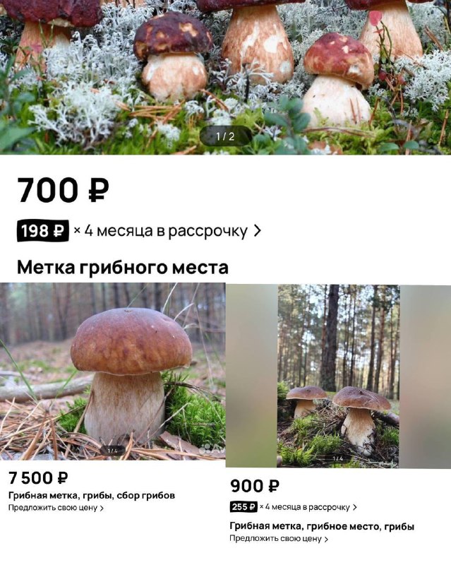 🍄‍🟫 Грибные локации стали продавать на Авито
Цена от 700-7500₽, за это вы получите координаты самы