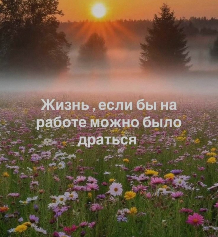 Ночная подборочка
Спать, режим