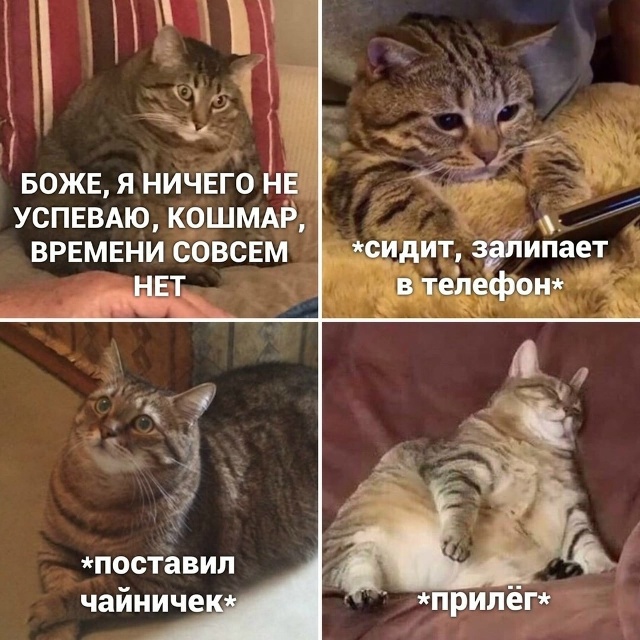 Лентяи тут?