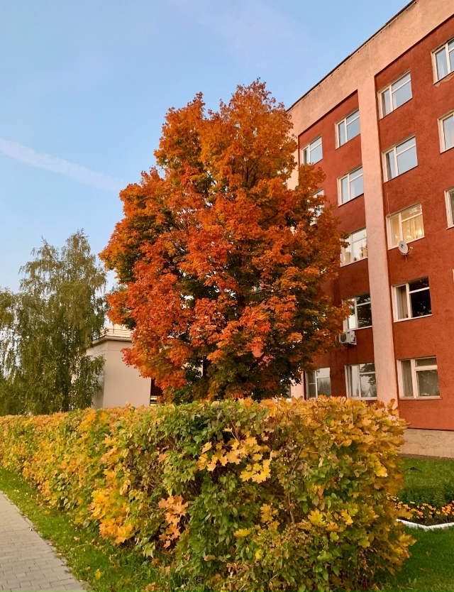 ✅Администрации муниципального образования «Город Мо?...