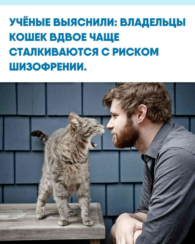 Исследователи обнаружили связь между паразитом Toxoplasma ...