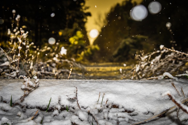 Первый снег 21 октября 2021г.
Фото: Юрий Жарков