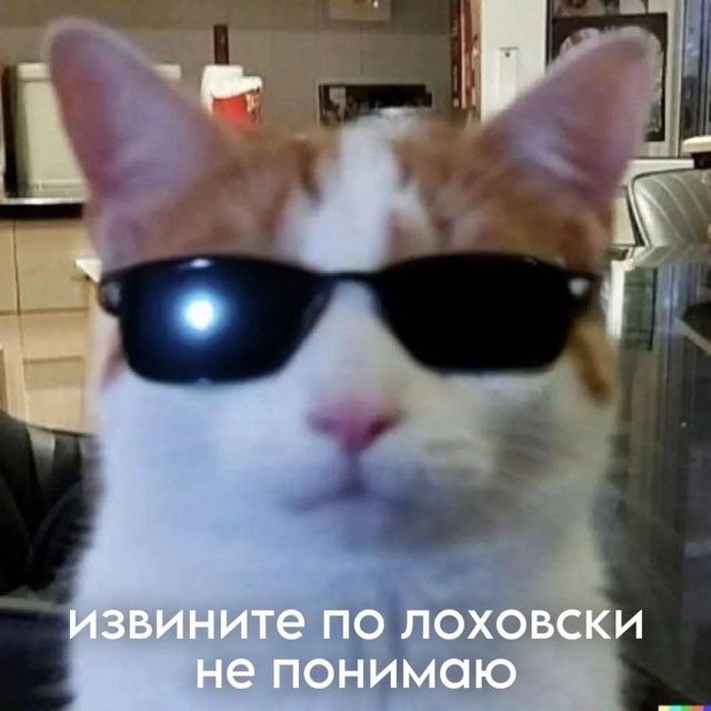 Утренняя подборочка