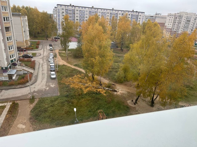 👏 Миссия на 4 квартал 2025?
Уничтожить все зеленые насаж...