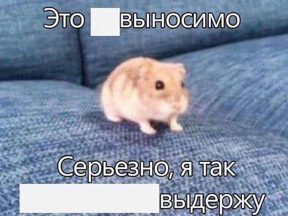 Я сейчас: подышал не так в мою сторону - идешь нахуй
Я в отношениях с тем самым долбоебусом, которы