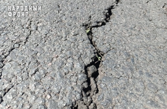 Ремонт дороги в Ржаксинском округе: очередные 212 милли?...