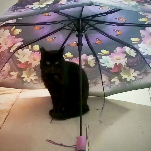 ☔ Держите зонт наготове. В регион на смену жаре пришли ...
