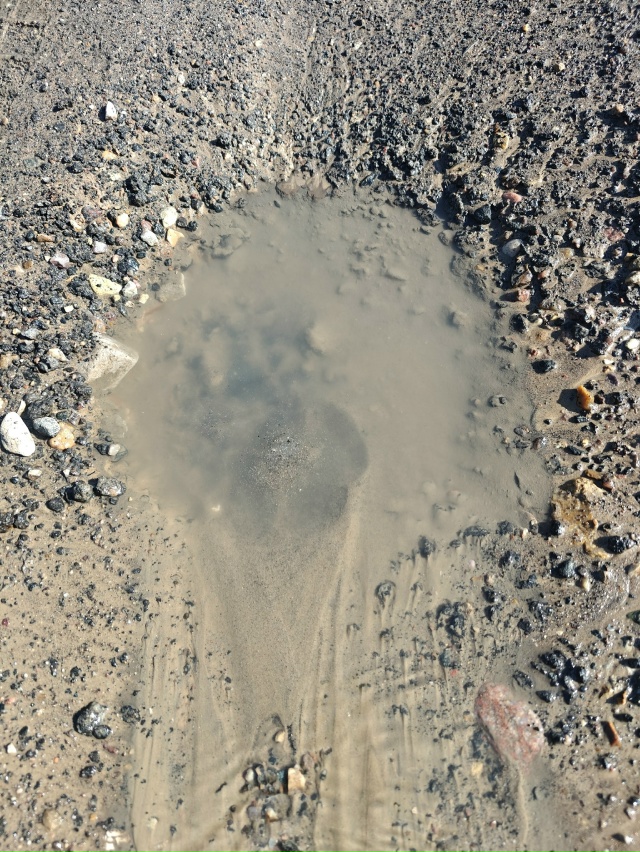 Прошу обратить внимание МУП Горводоканал на 