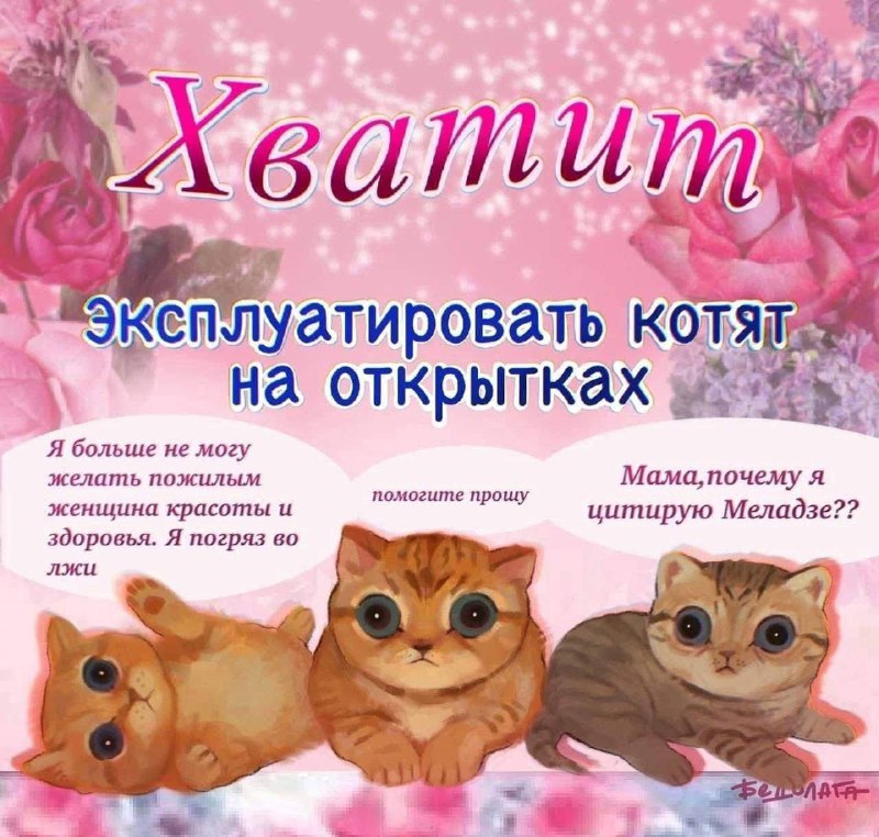 Утренняя подборочка
