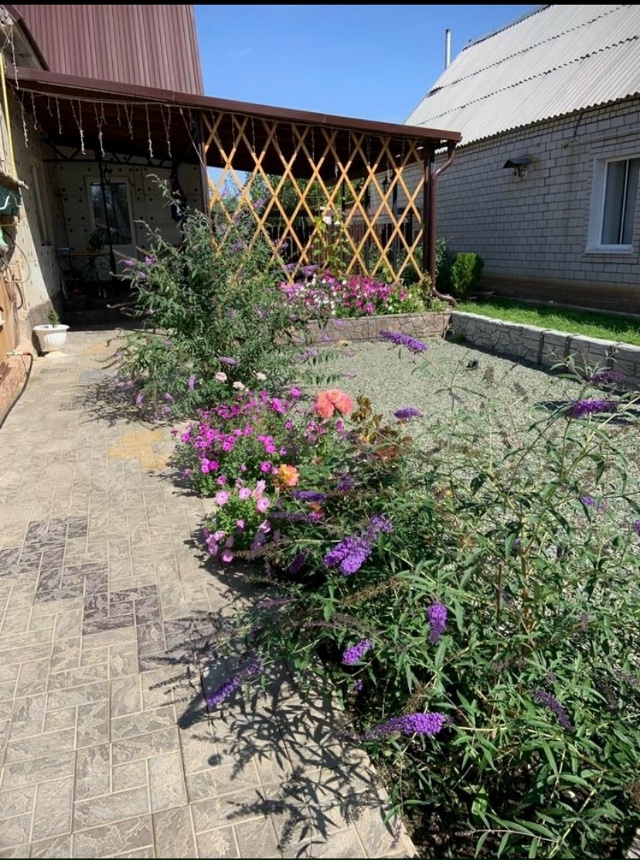 БЕЗ ДОЛГОВ !
 БЕЗ ОБРЕМЕНЕНИЙ !
 БЕЗ ДЕТСКИХ ДОЛЕЙ!
ЛЮБ?...