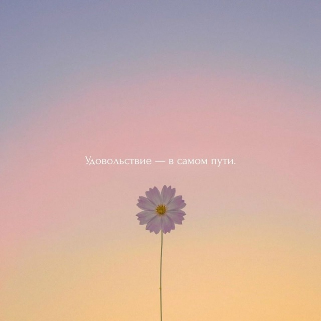 Коротко и по факту😅