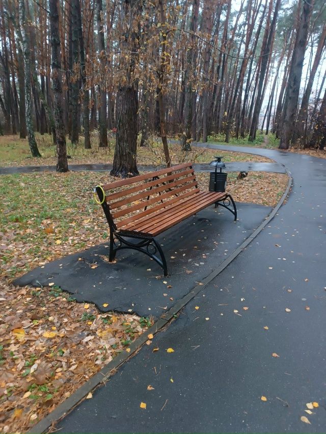 Найден светящийся ошейник в сквере возле школы 1.