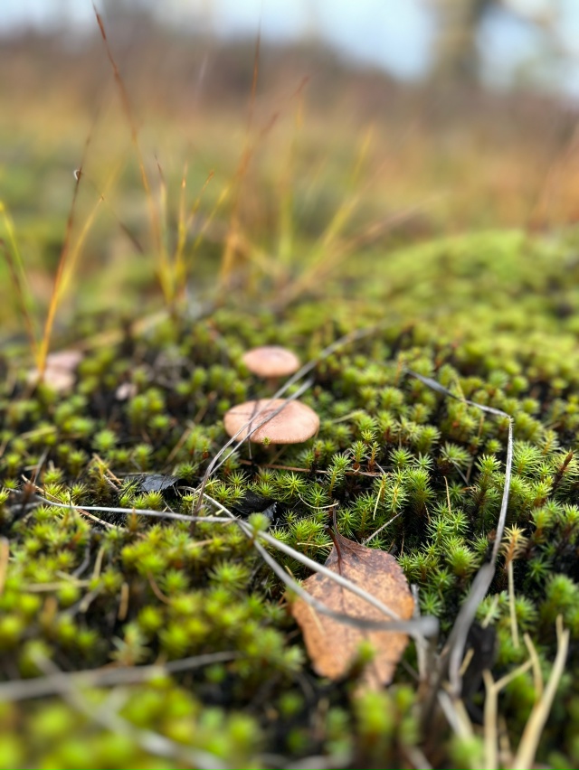 Привет Бузулук! Моя малая родина! Вот такая природа у н?...